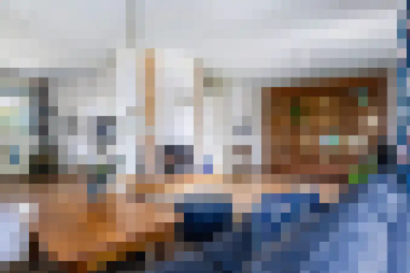 De Greiden 3 Indijk thumbnail 15