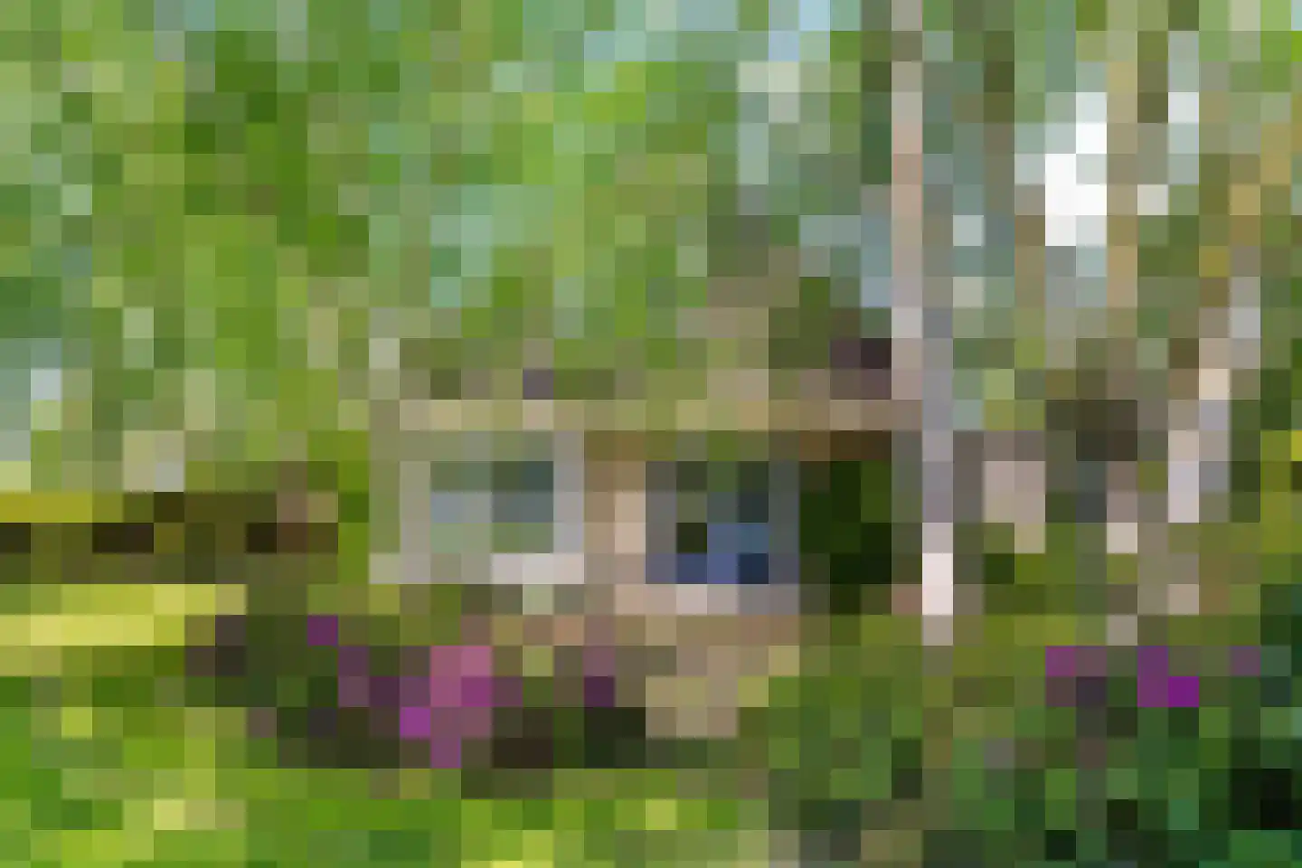 De Greiden 3 Indijk thumbnail 24