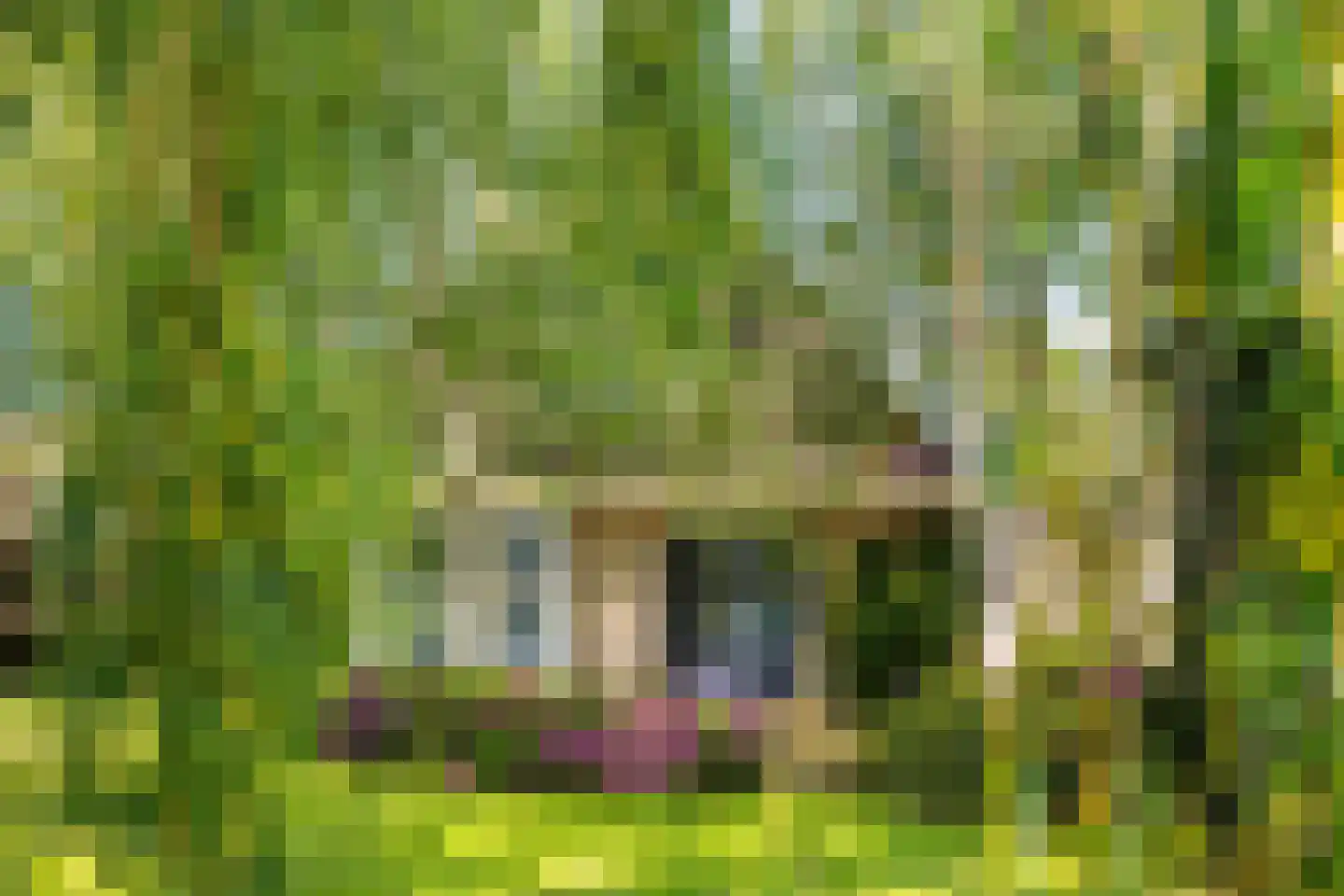De Greiden 3 Indijk thumbnail 26