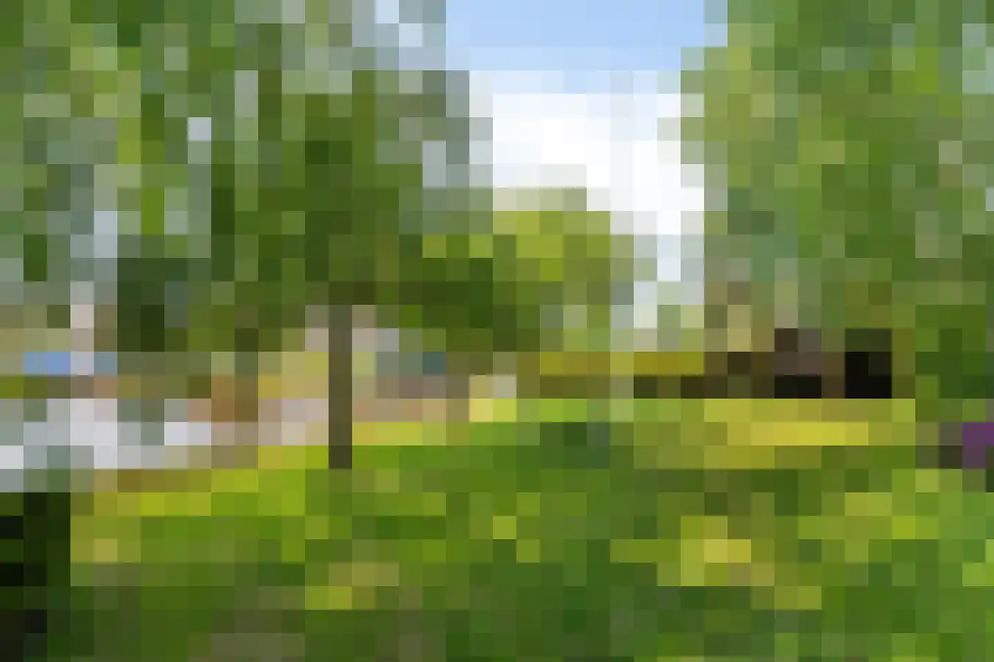 De Greiden 3 Indijk thumbnail 27