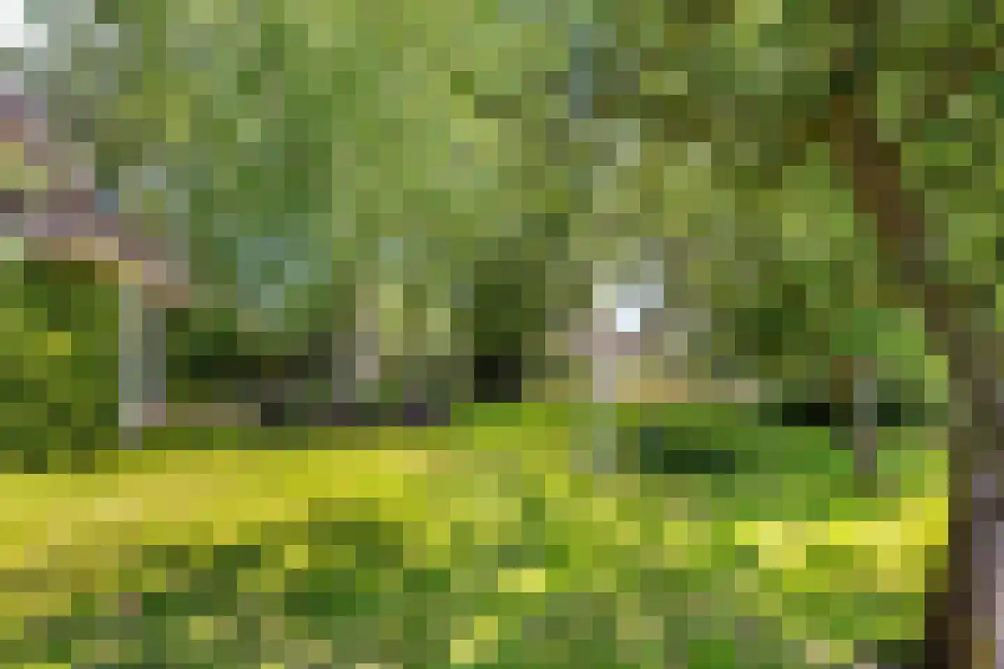 De Greiden 3 Indijk thumbnail 29
