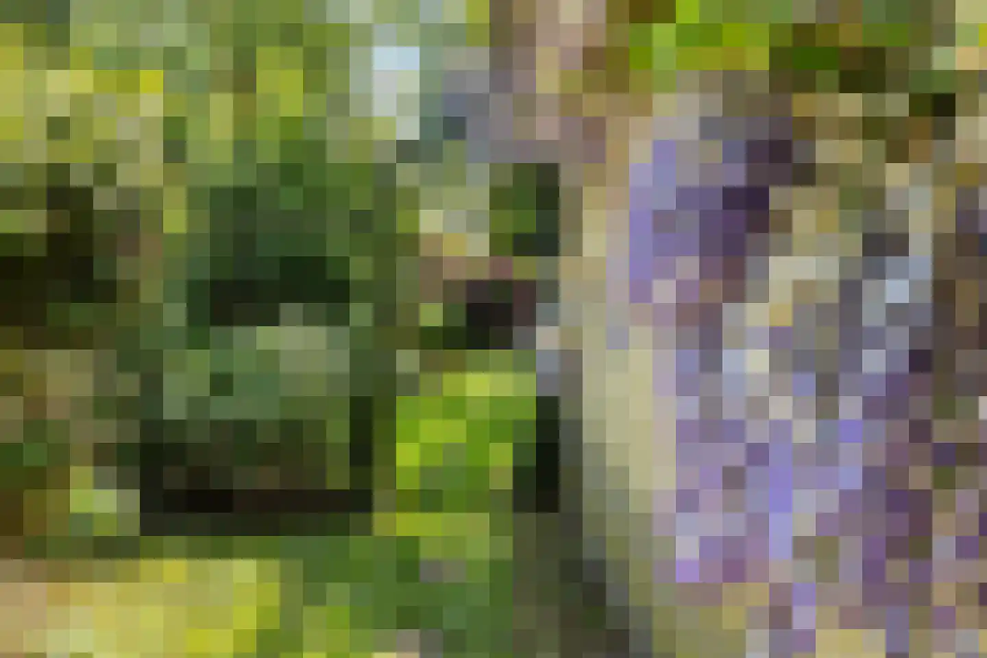De Greiden 3 Indijk thumbnail 30