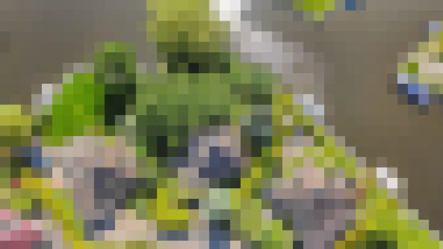 De Greiden 3 Indijk thumbnail 4