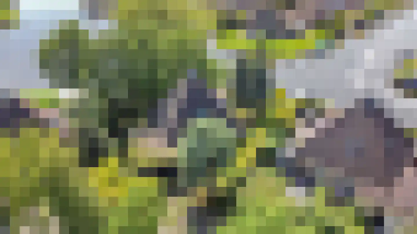 De Greiden 3 Indijk thumbnail 6