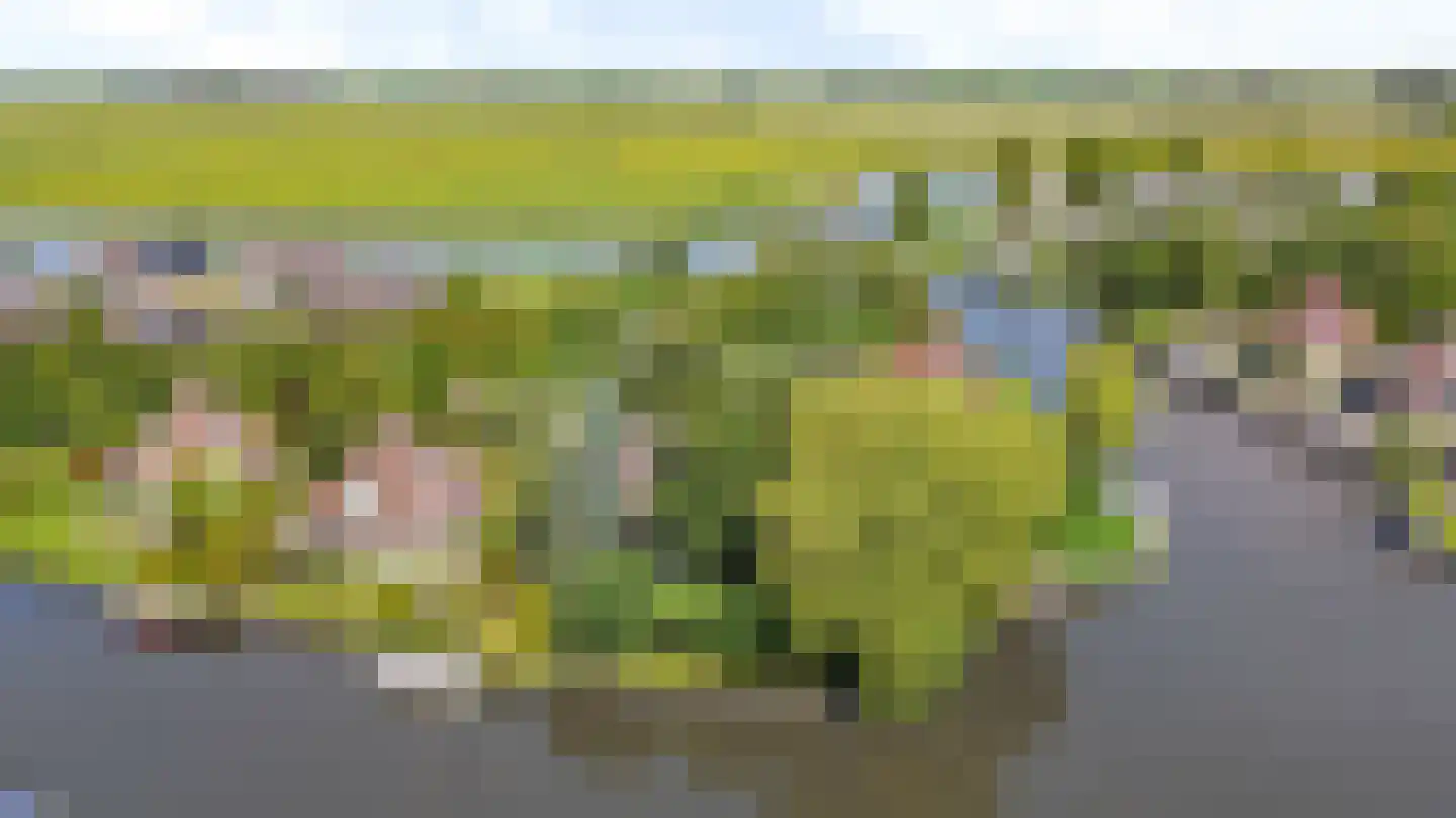 De Greiden 3 Indijk thumbnail 7