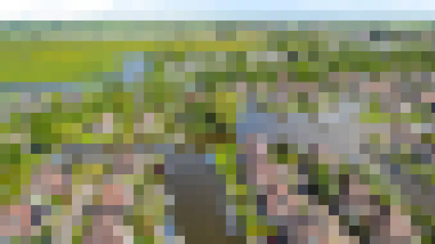 De Greiden 3 Indijk thumbnail 8