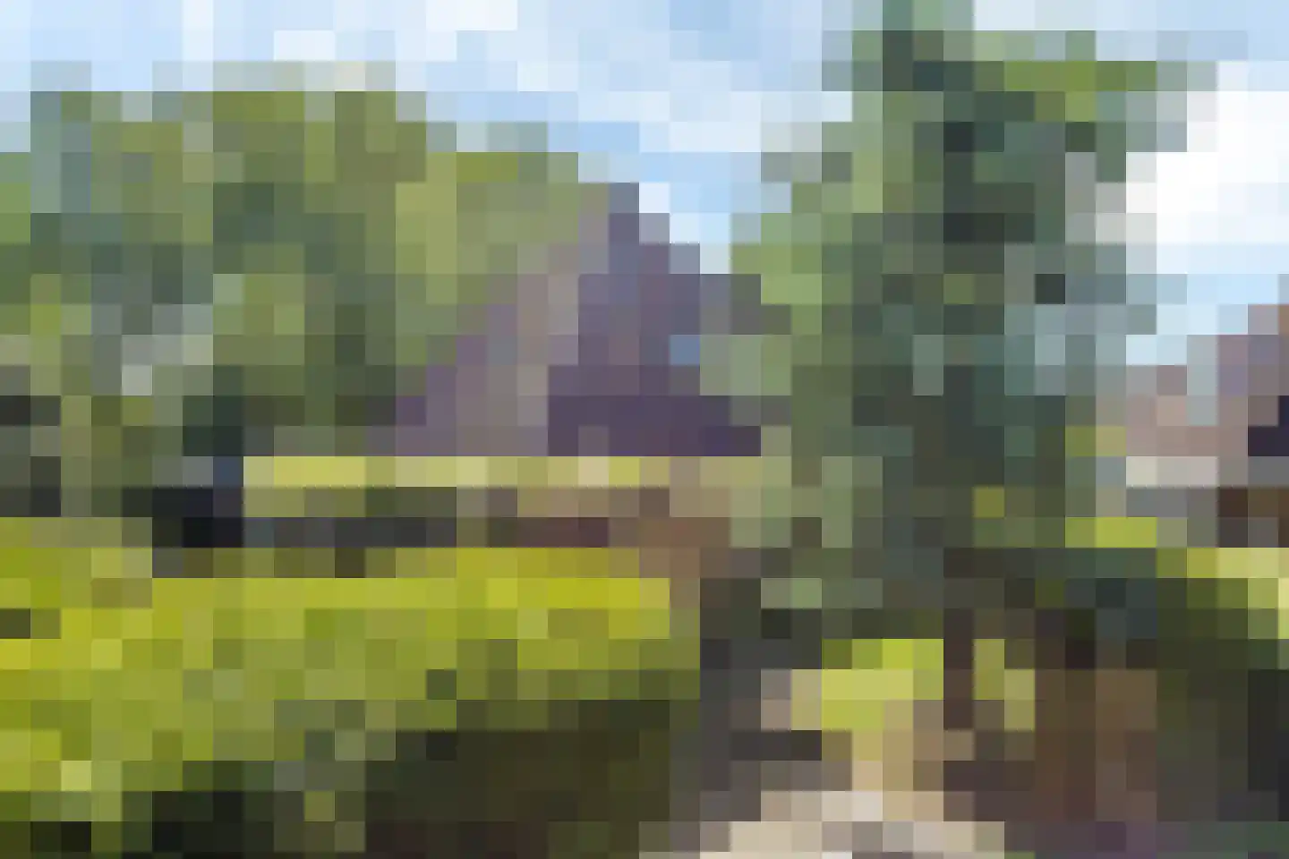 De Greiden 3 Indijk thumbnail 9