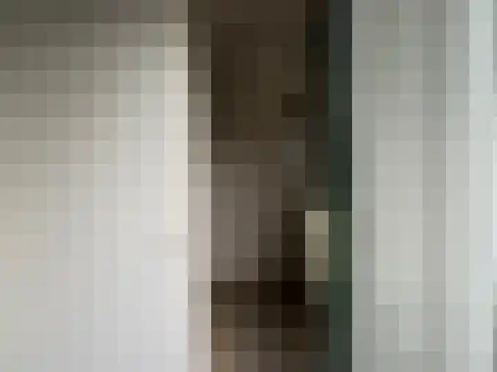 De Greiden 30 Idskenhuizen thumbnail 7