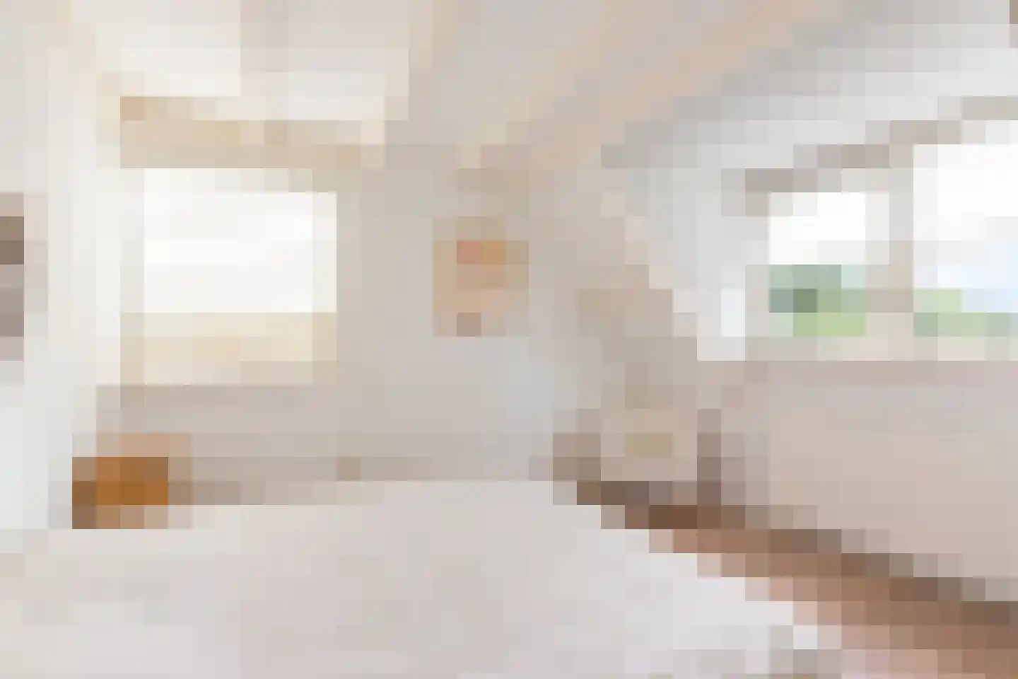 De Greiden 34 Idskenhuizen thumbnail 22