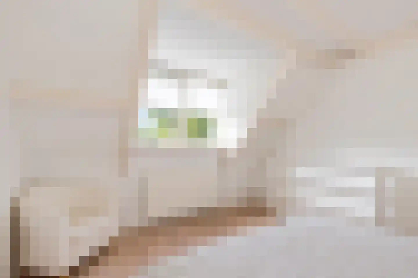 De Greiden 34 Idskenhuizen thumbnail 24