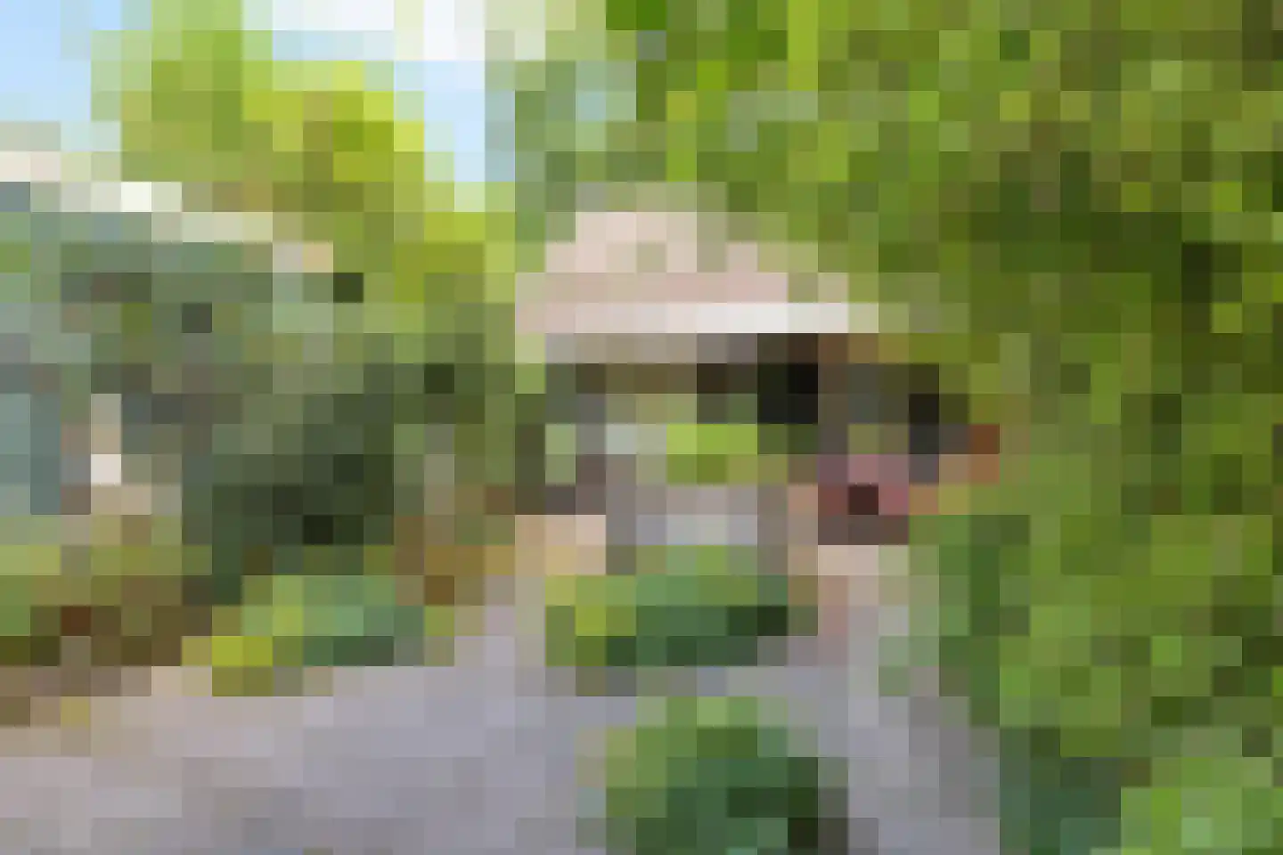 De Greiden 34 Idskenhuizen thumbnail 32