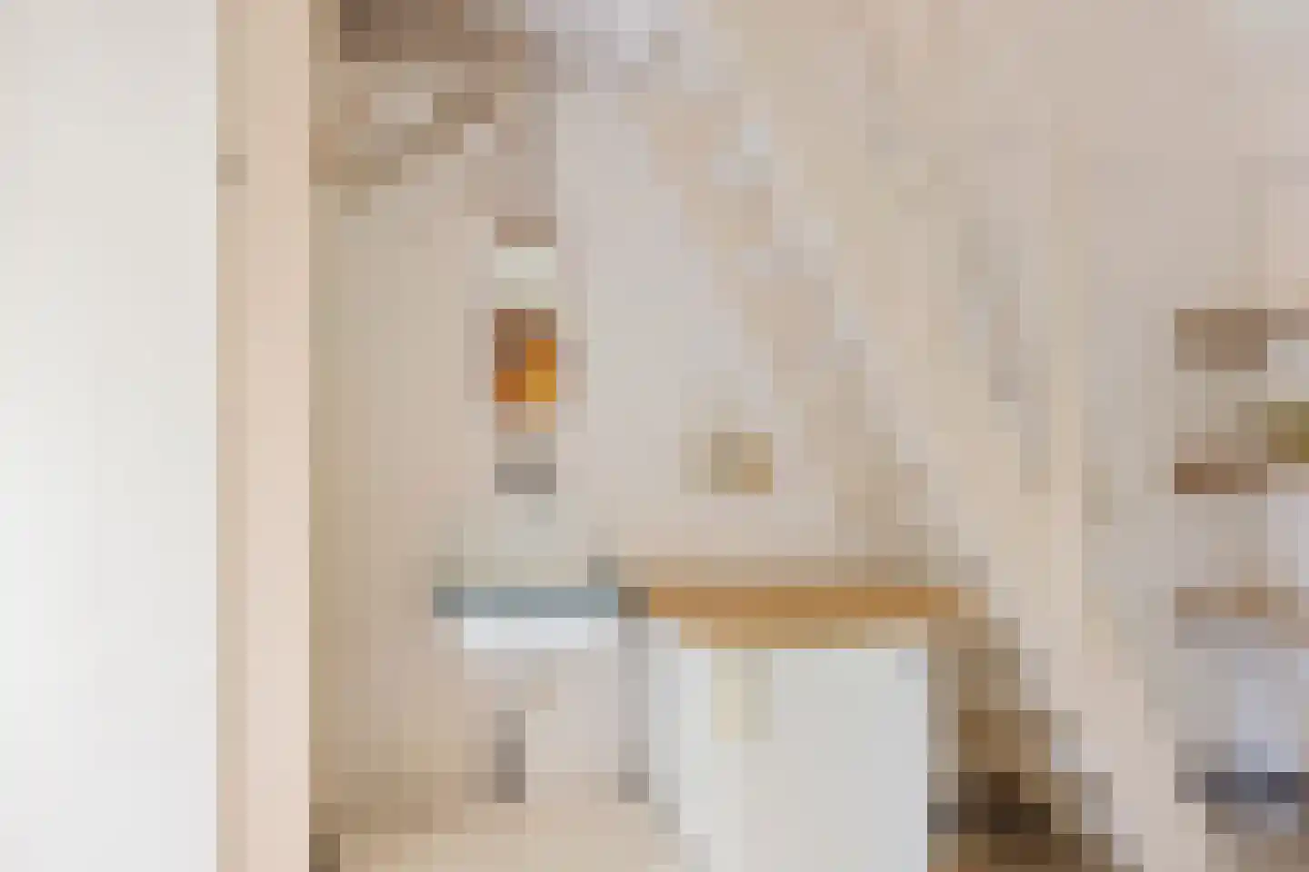 De Greiden 34 Idskenhuizen thumbnail 37