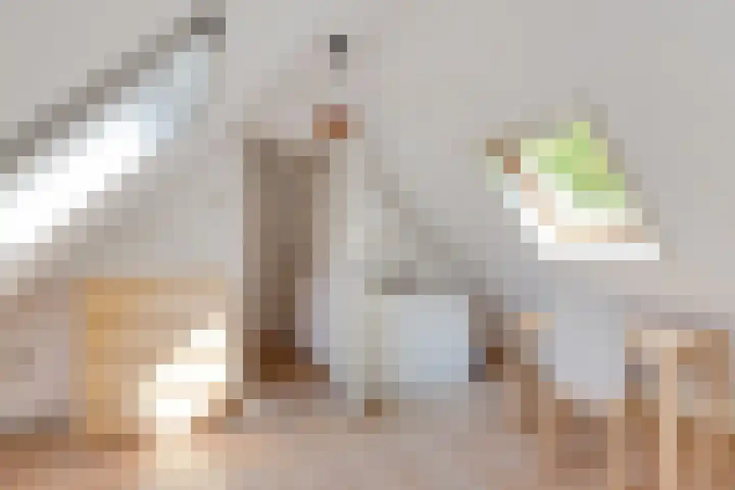 De Greiden 34 Idskenhuizen thumbnail 39