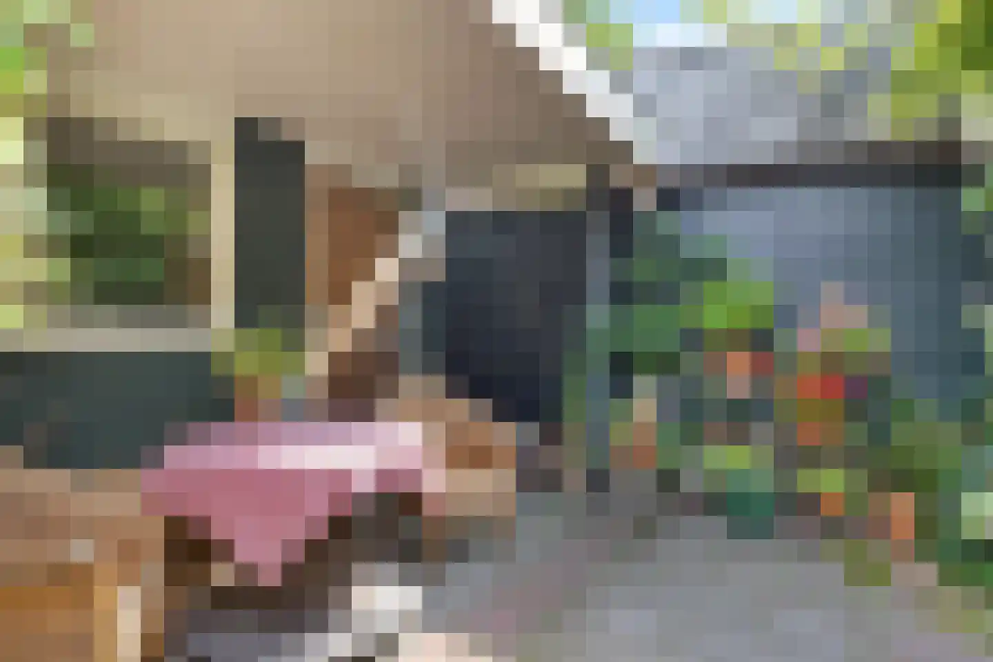 De Greiden 34 Idskenhuizen thumbnail 4