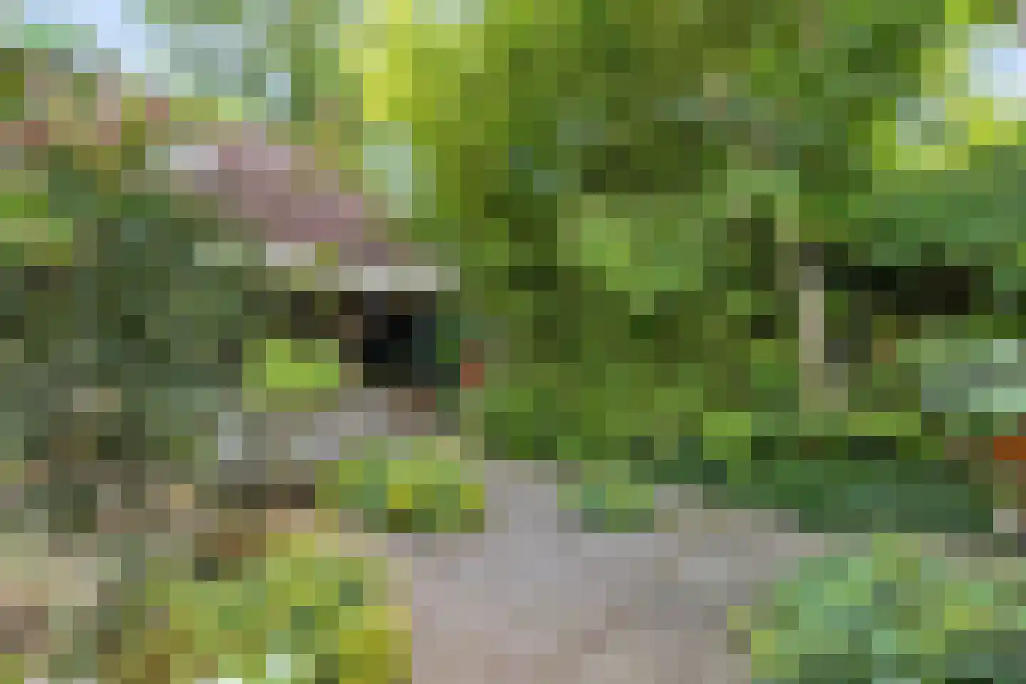 De Greiden 34 Idskenhuizen thumbnail 43