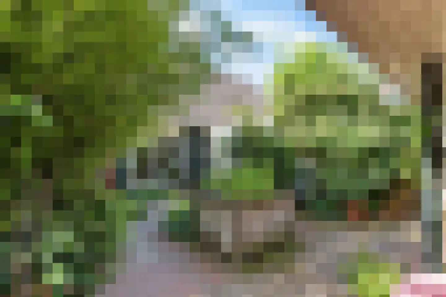 De Greiden 34 Idskenhuizen thumbnail 44