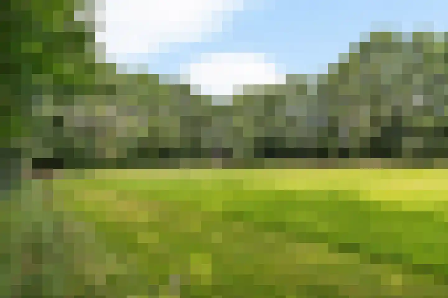 De Greiden 34 Idskenhuizen thumbnail 45