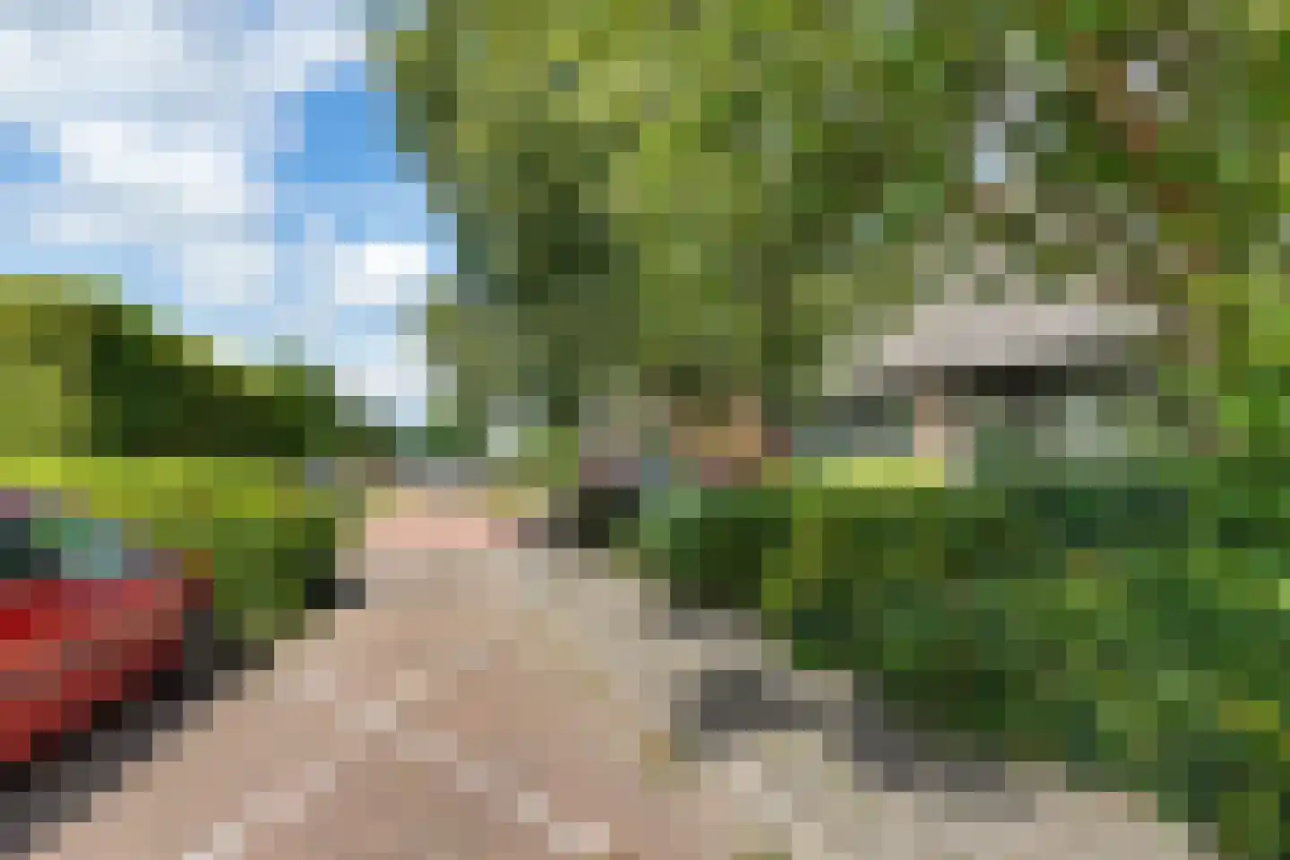 De Greiden 34 Idskenhuizen thumbnail 5