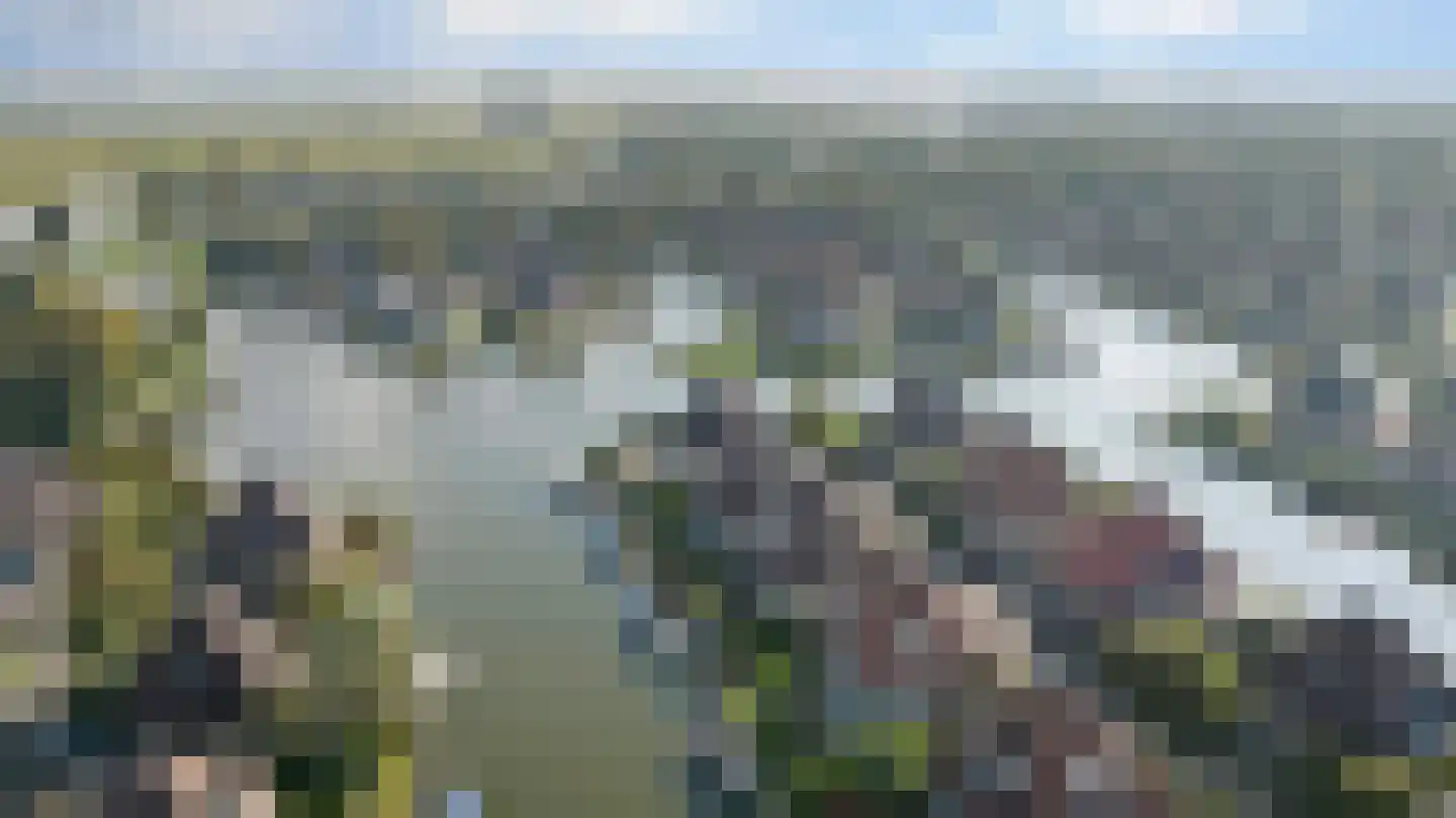 De Greiden 36 Indijk thumbnail 29