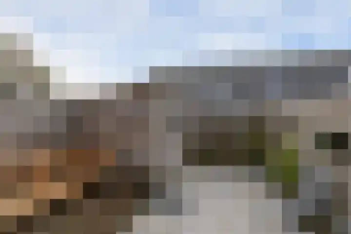 De Greiden 4 Bolsward thumbnail 20