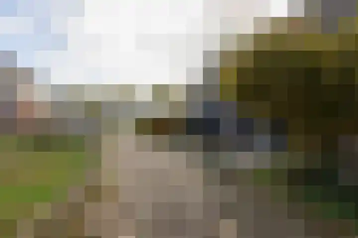 De Greiden 4 Bolsward thumbnail 24
