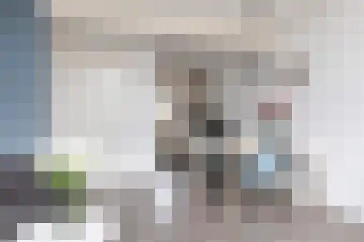 De Greiden 4 Bolsward thumbnail 6