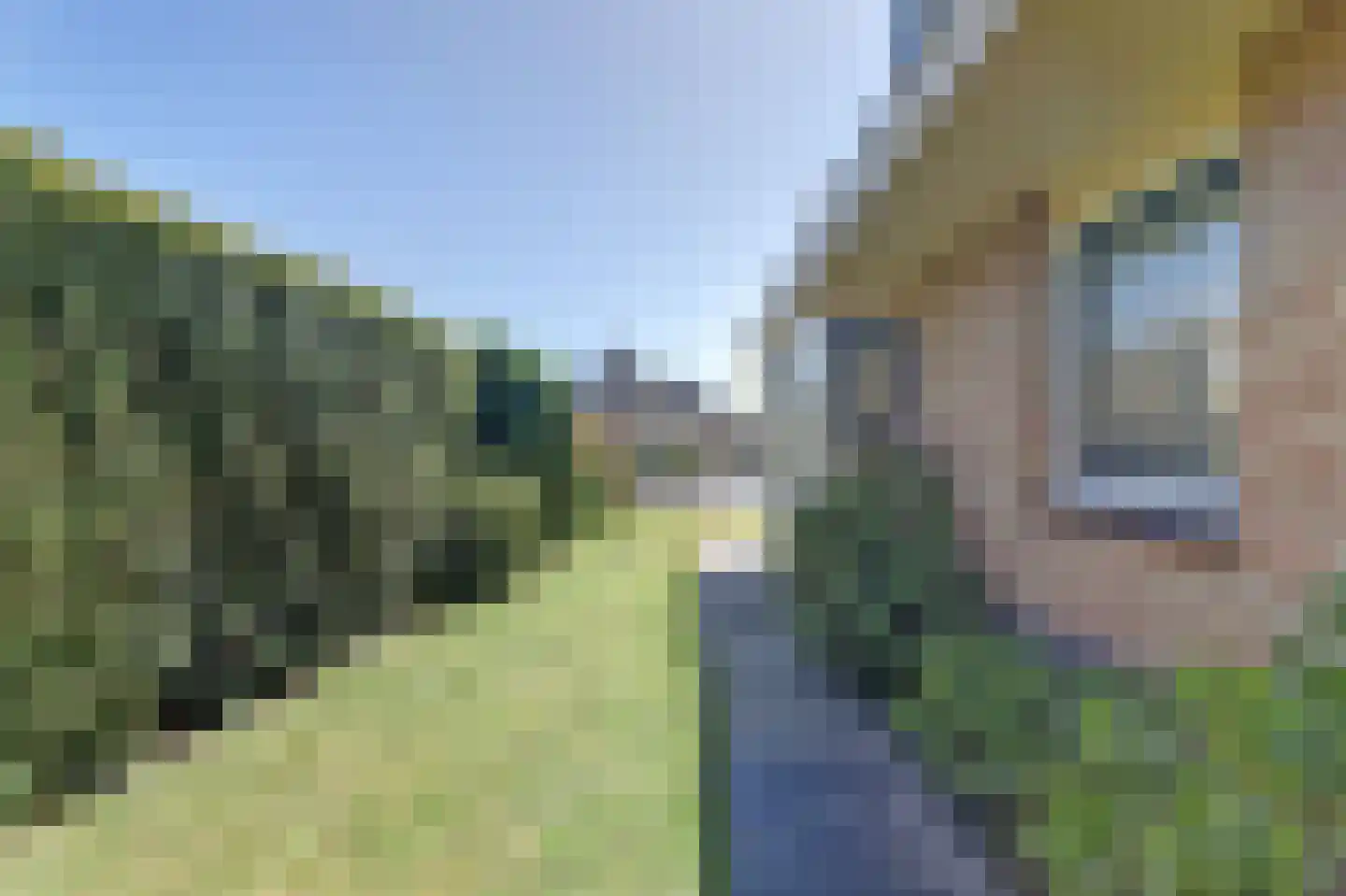 De Greiden 40 Indijk thumbnail 31