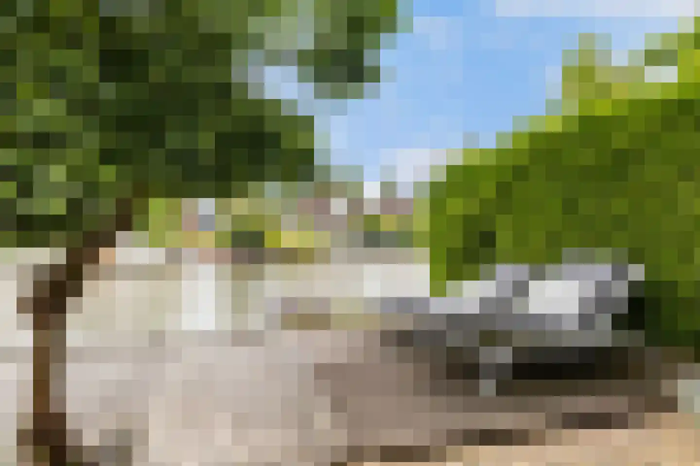 De Greiden 84 Indijk thumbnail 30
