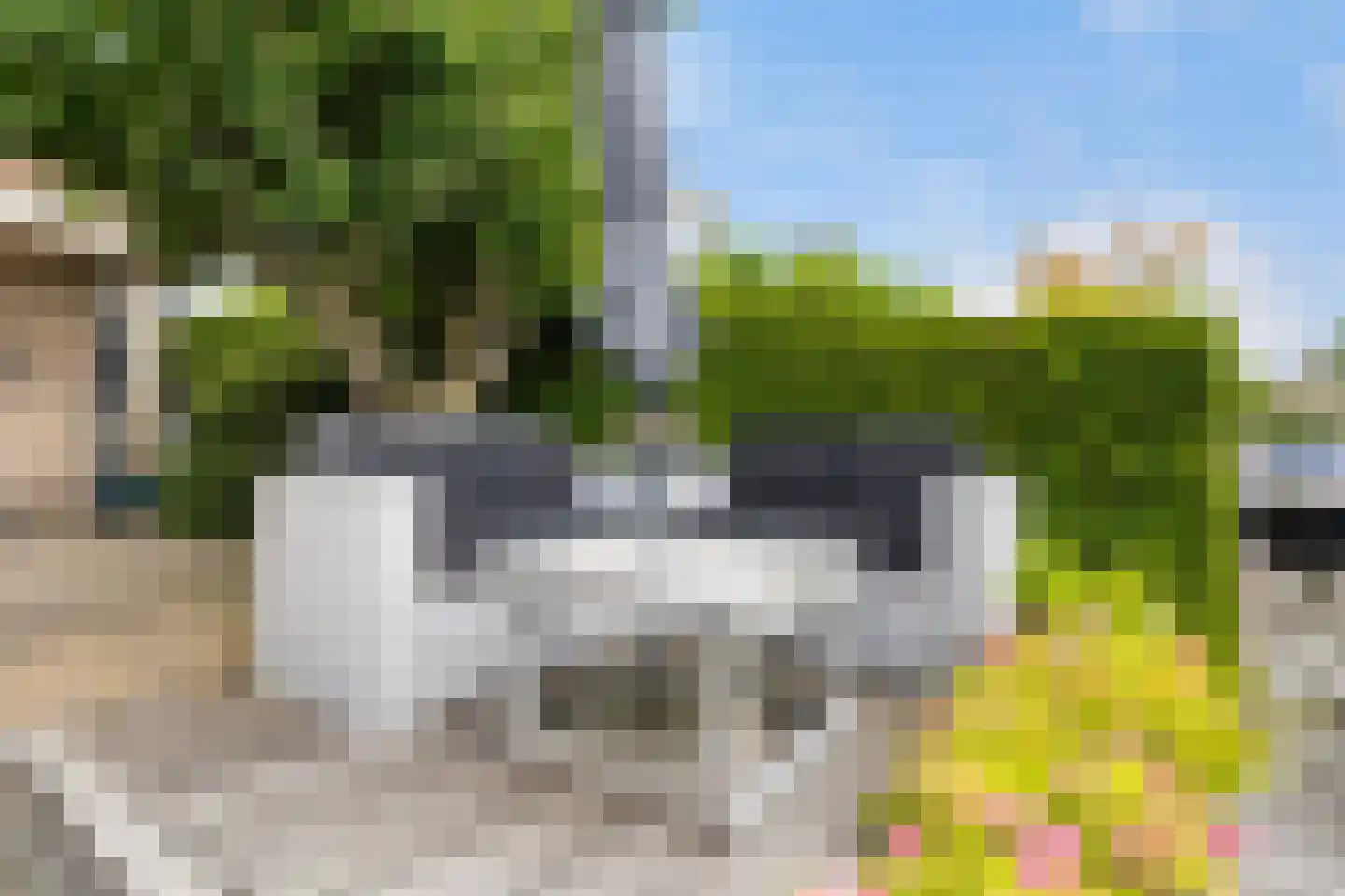 De Greiden 84 Indijk thumbnail 31