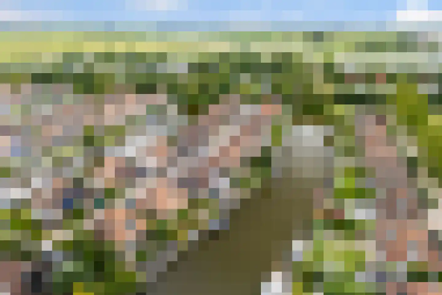 De Greiden 84 Indijk thumbnail 39