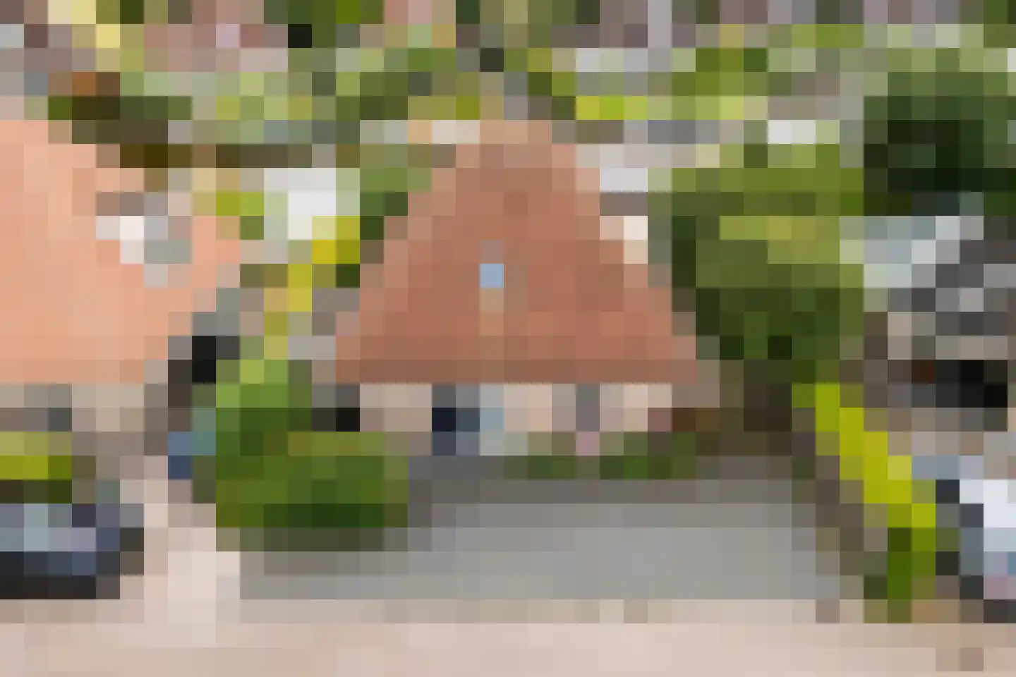 De Greiden 84 Indijk thumbnail 42