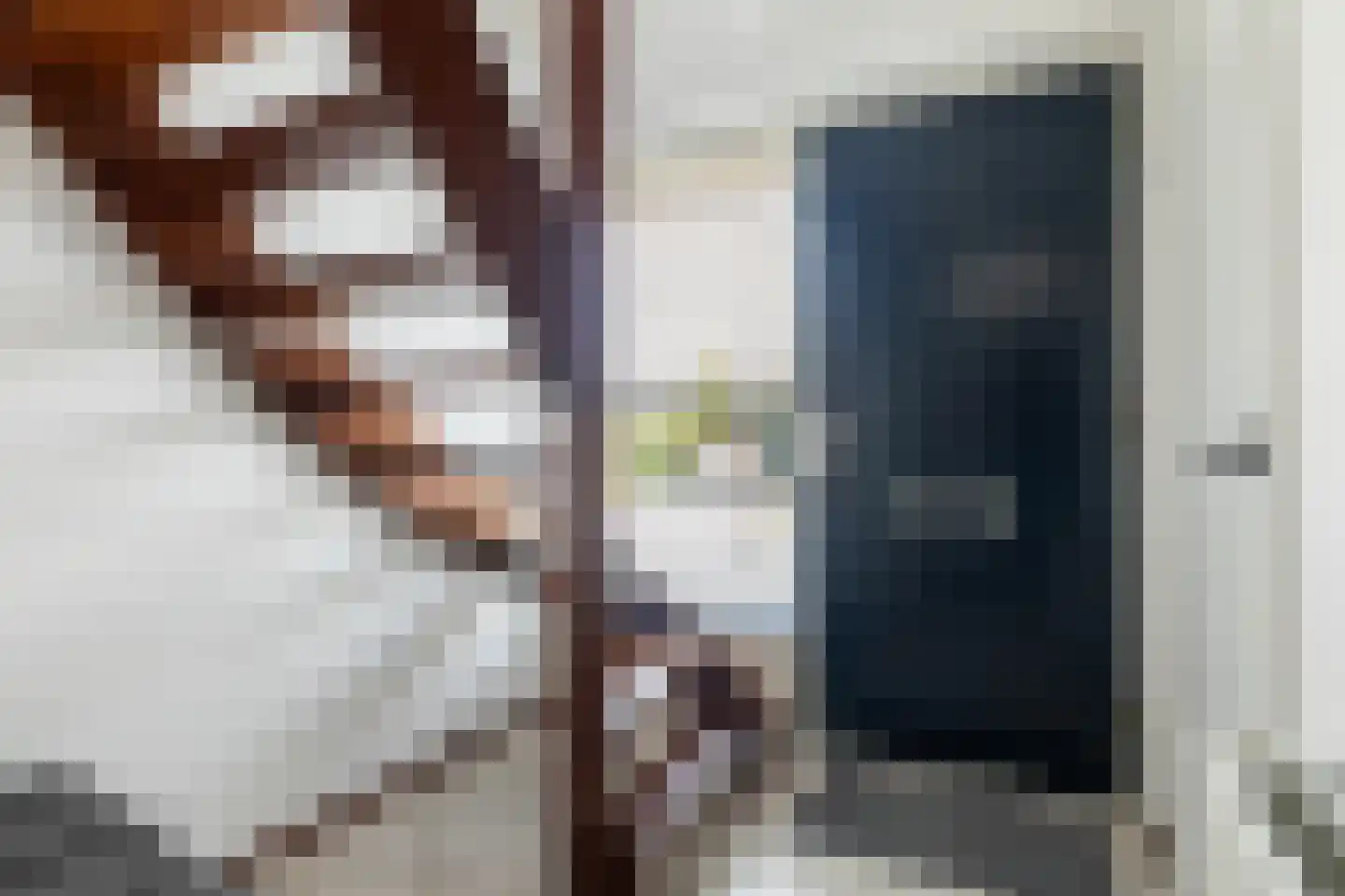 De Greiden 84 Indijk thumbnail 6