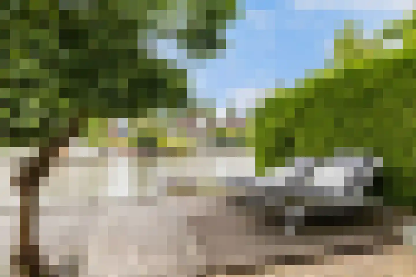 De Greiden 84 RECR Indijk thumbnail 30
