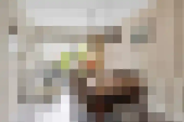 De Greiden 9 Idskenhuizen thumbnail 12
