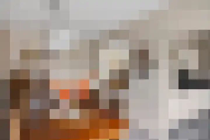 De Greiden 9 Idskenhuizen thumbnail 14