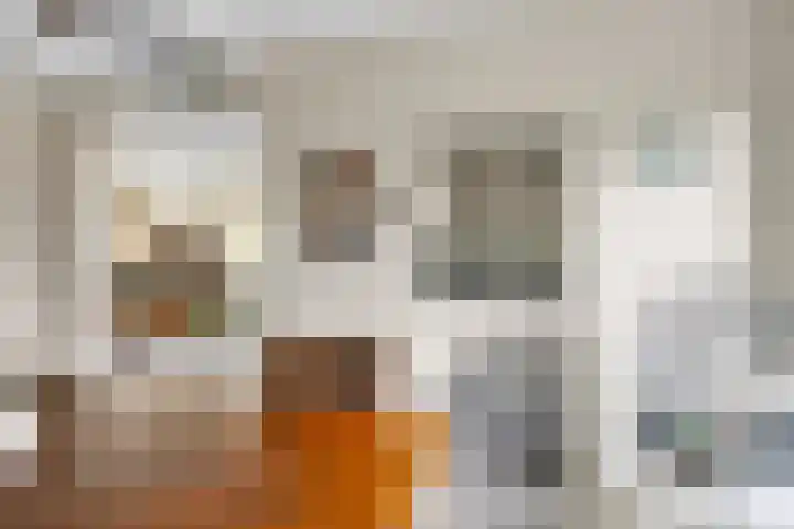 De Greiden 9 Idskenhuizen thumbnail 15