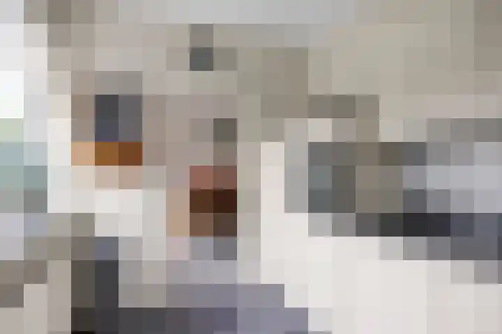 De Greiden 9 Idskenhuizen thumbnail 17