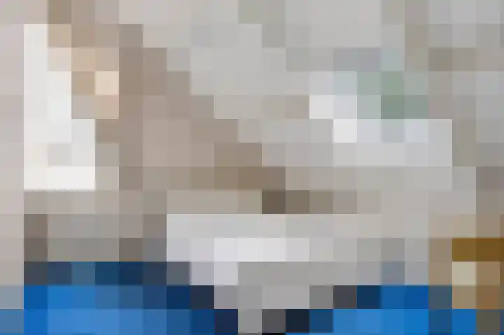 De Greiden 9 Idskenhuizen thumbnail 23
