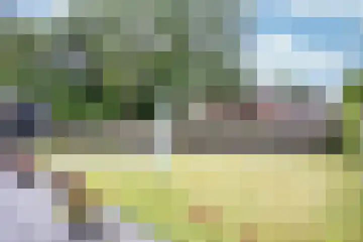 De Greiden 9 Idskenhuizen thumbnail 32