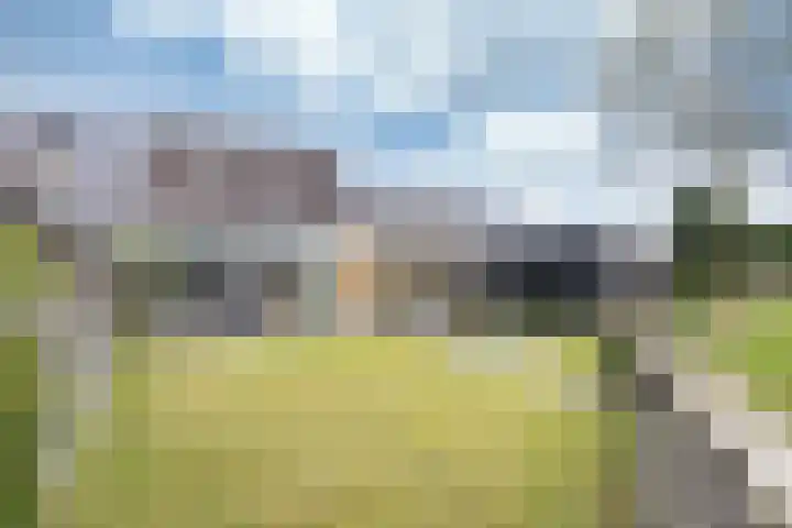 De Greiden 9 Idskenhuizen thumbnail 34