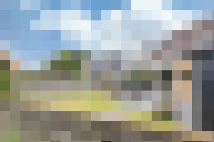 De Greiden 9 Idskenhuizen thumbnail 36