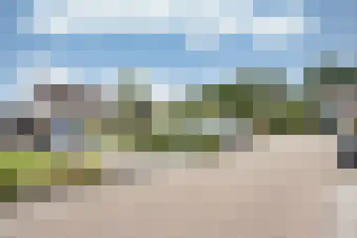 De Greiden 9 Idskenhuizen thumbnail 39