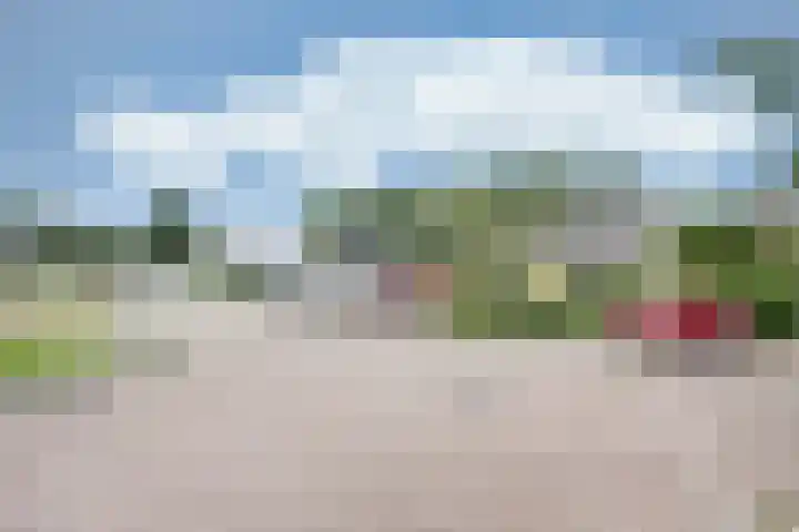 De Greiden 9 Idskenhuizen thumbnail 40