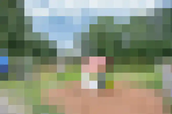De Greiden 9 Idskenhuizen thumbnail 41