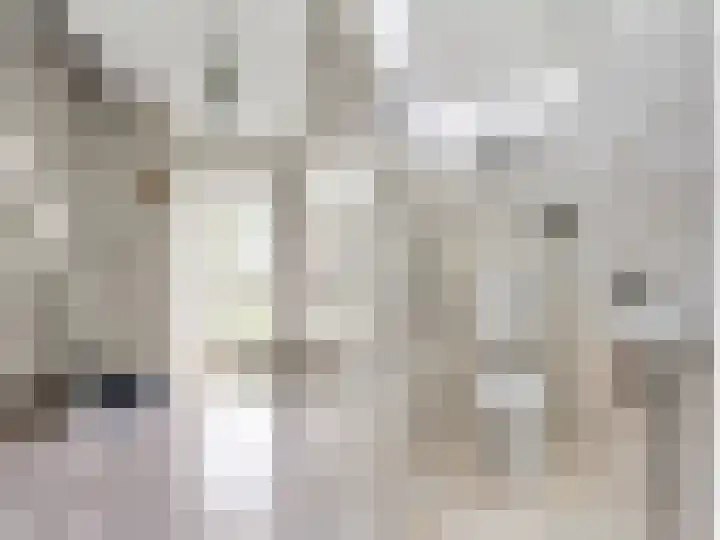 De Greiden 9 Idskenhuizen thumbnail 8