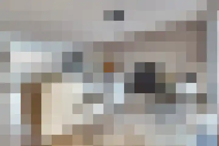 De Grenadier 9 Kapelle thumbnail 10