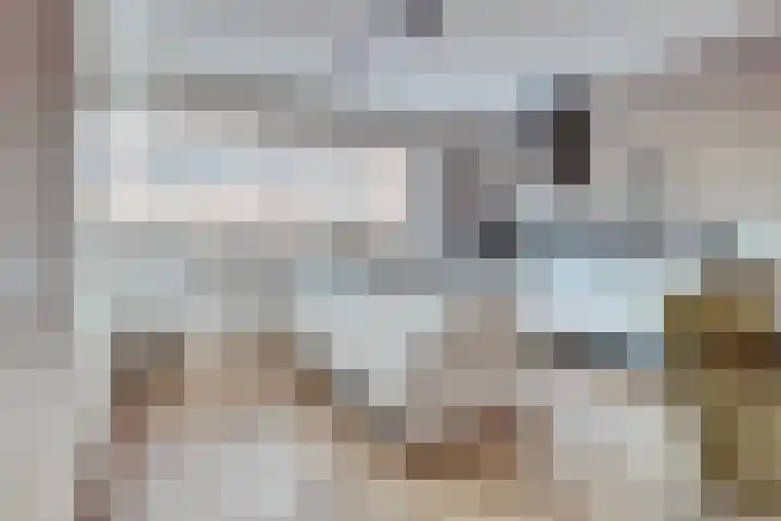 De Grenadier 9 Kapelle thumbnail 17