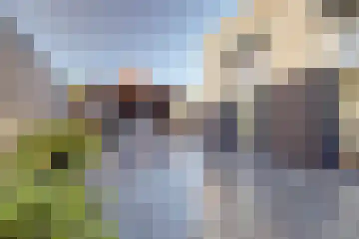De Grenadier 9 Kapelle thumbnail 43