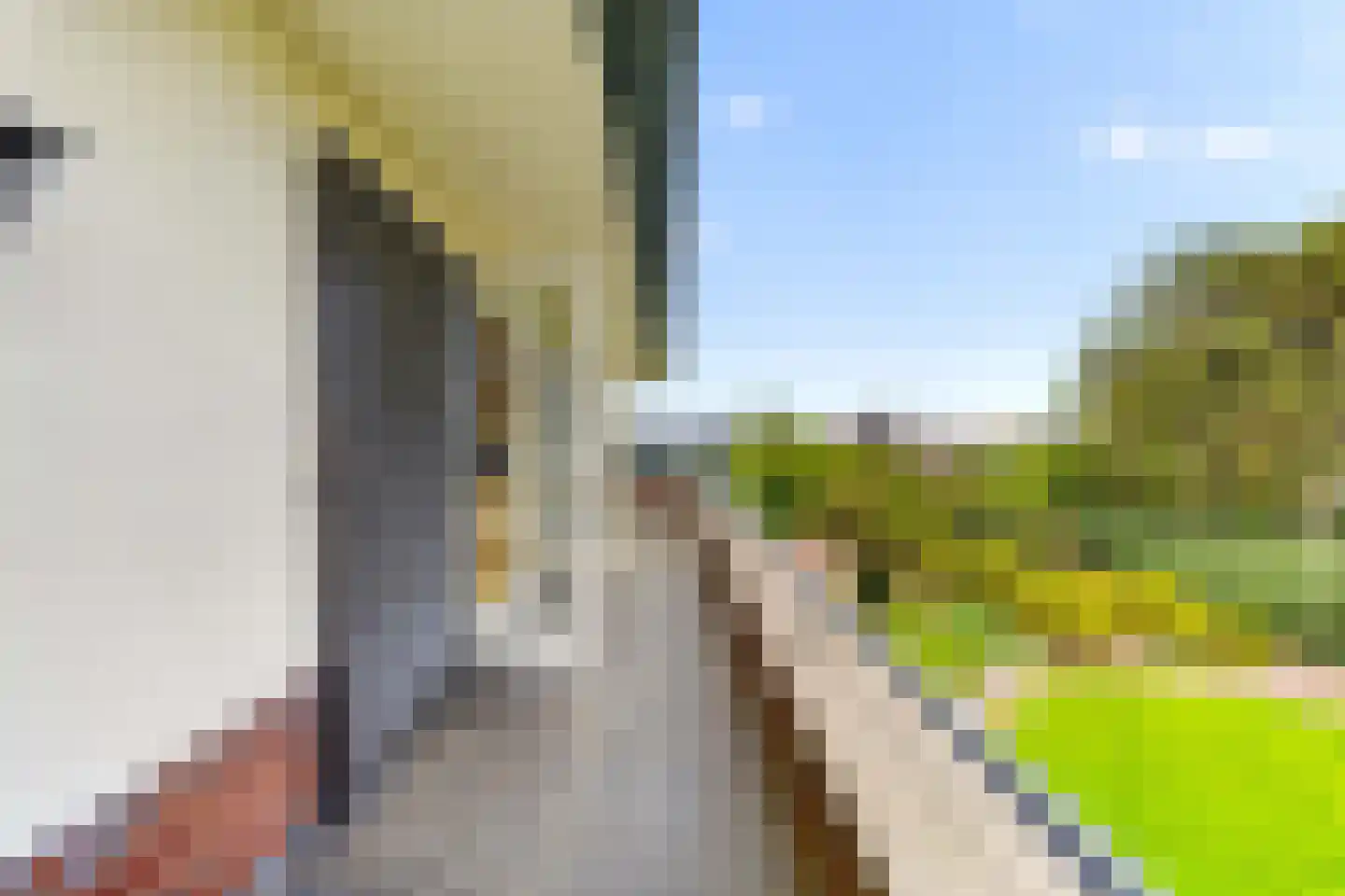 De Grent 2 Noordwijk thumbnail 109
