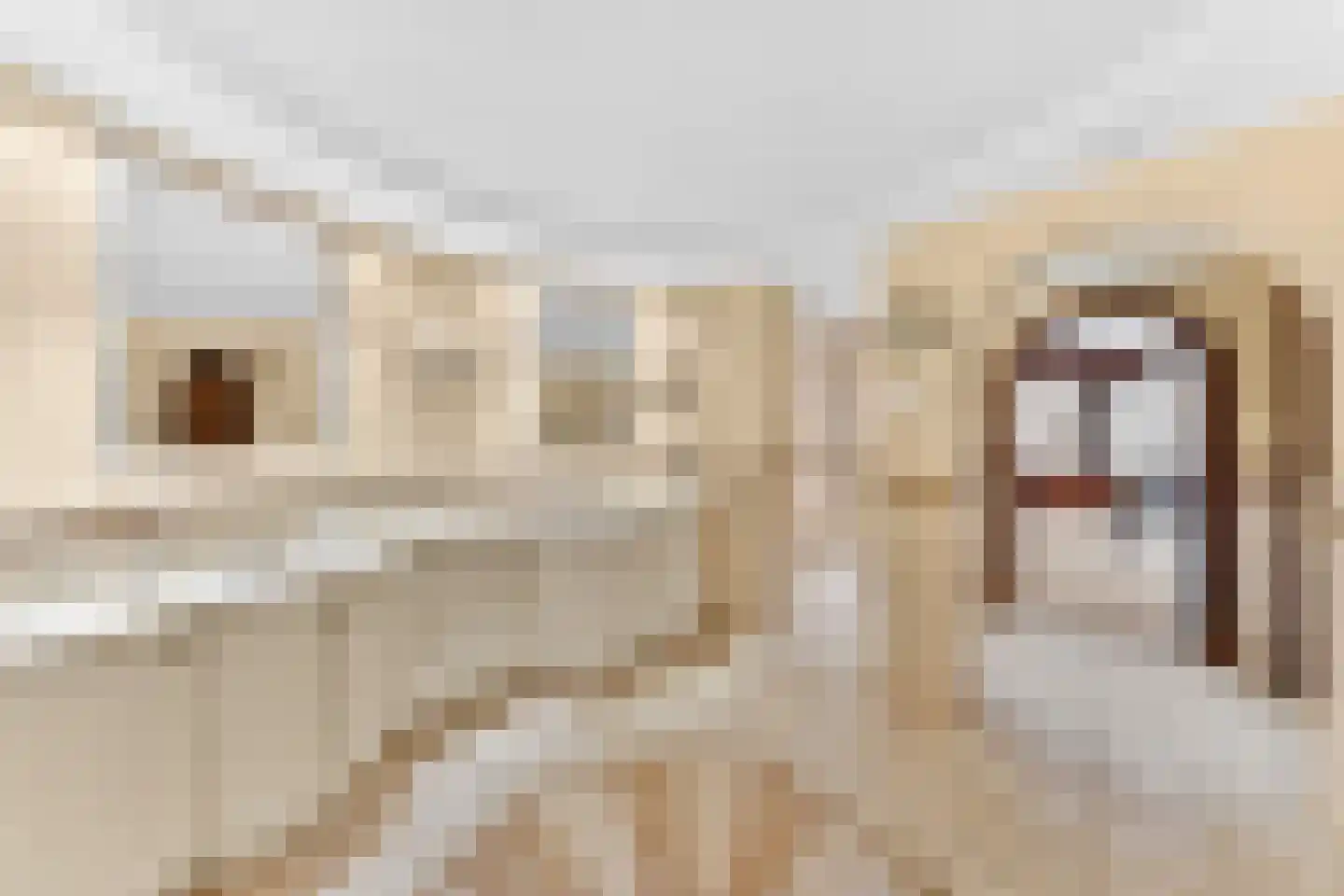 De Grent 2 Noordwijk thumbnail 65